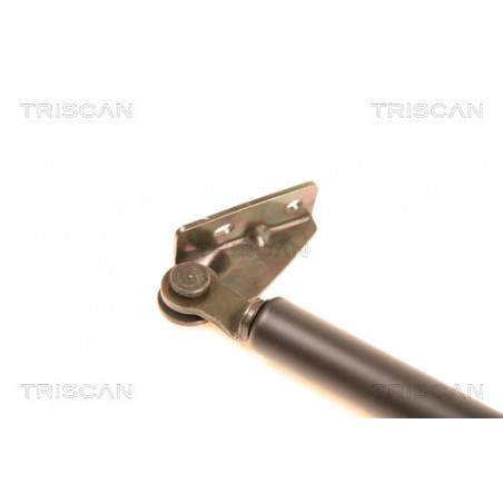 Vérin de coffre / hayon TRISCAN