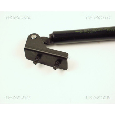 Vérin de coffre / hayon TRISCAN
