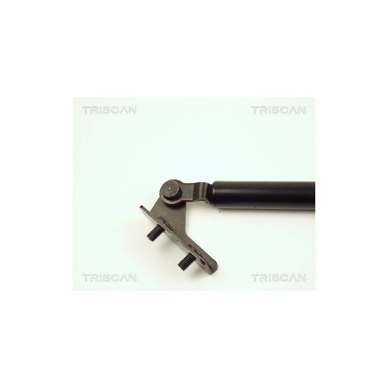 Vérin de coffre / hayon TRISCAN