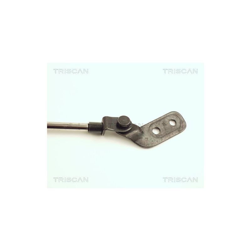 Vérin de coffre / hayon TRISCAN