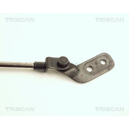 Vérin de coffre / hayon TRISCAN