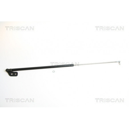 Vérin de coffre / hayon...