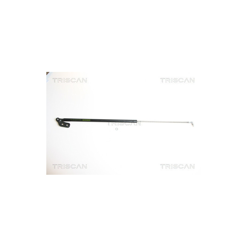 Vérin de coffre / hayon TRISCAN