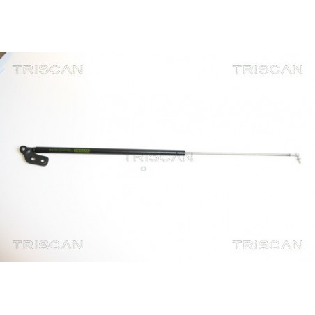 Vérin de coffre / hayon TRISCAN