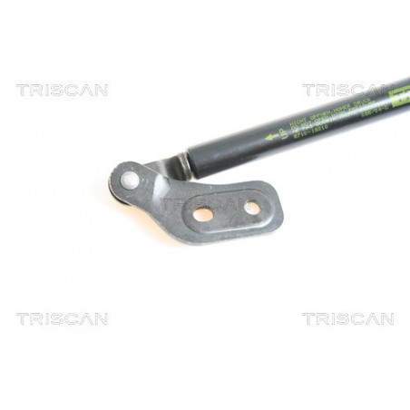 Vérin de coffre / hayon TRISCAN