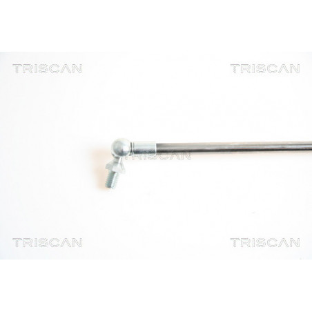 Vérin de coffre / hayon TRISCAN