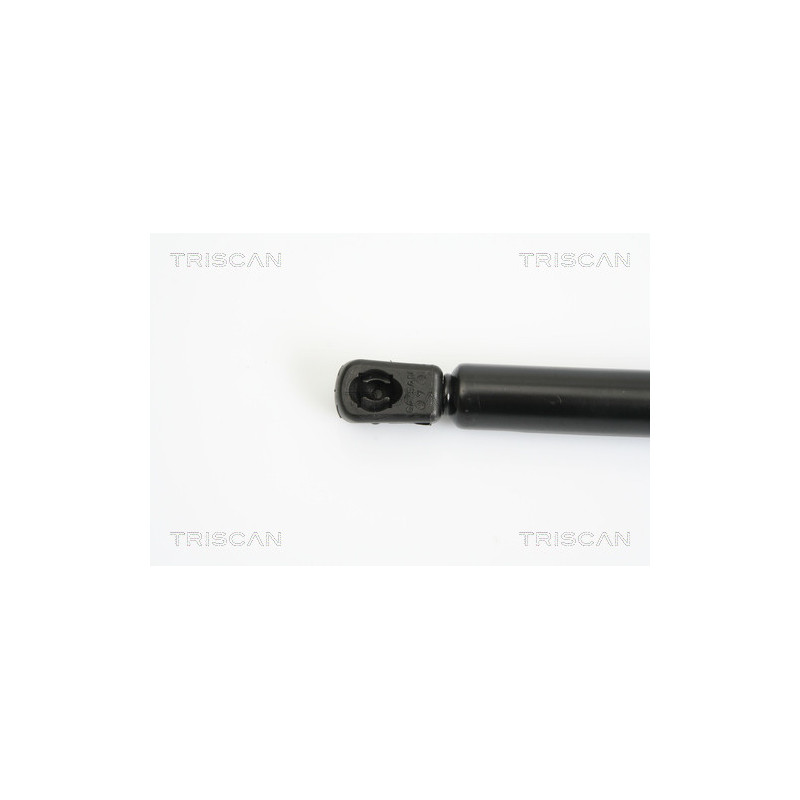 Vérin de coffre / hayon TRISCAN