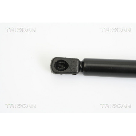 Vérin de coffre / hayon TRISCAN