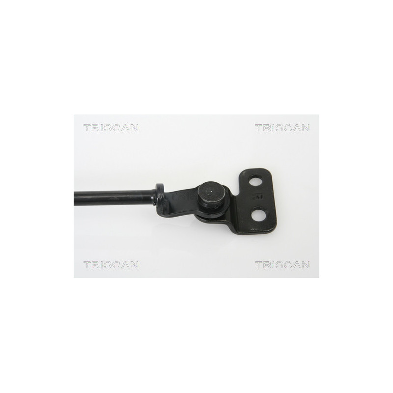 Vérin de coffre / hayon TRISCAN