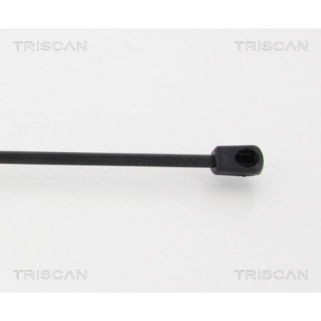 Vérin de coffre / hayon TRISCAN