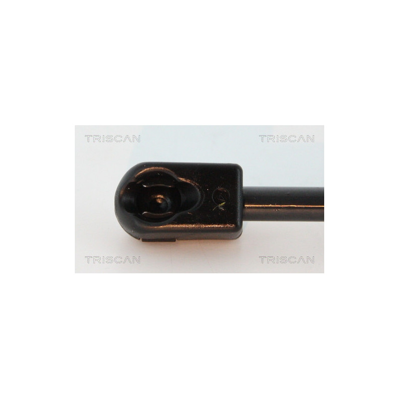 Vérin de coffre / hayon TRISCAN