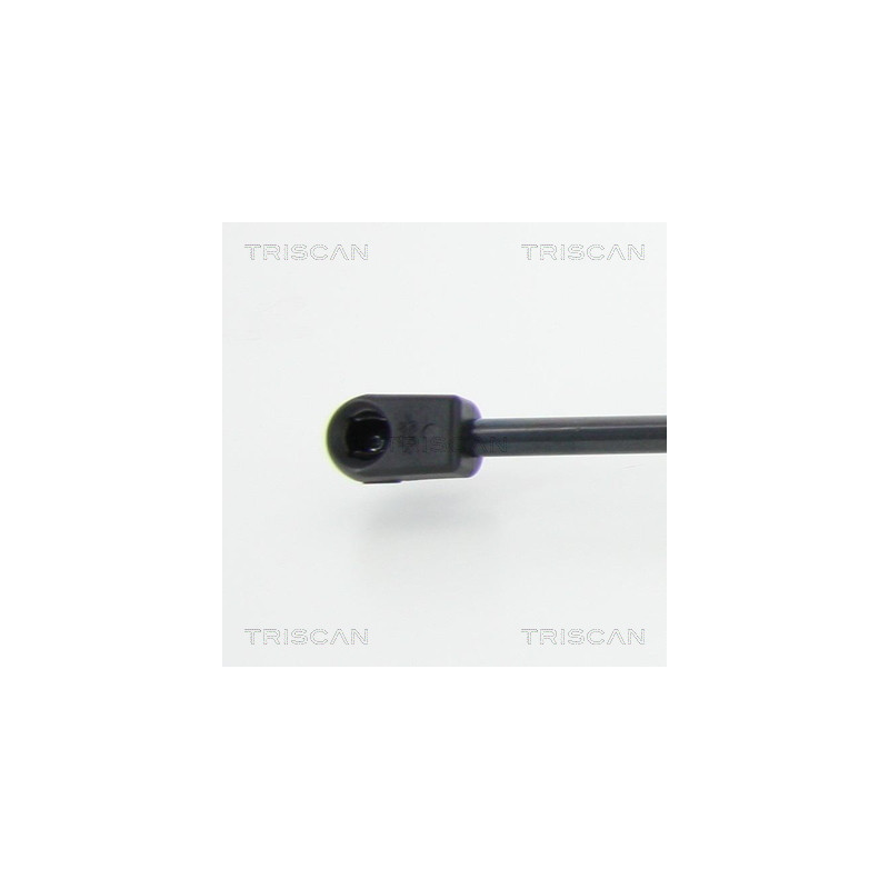 Vérin de coffre / hayon TRISCAN