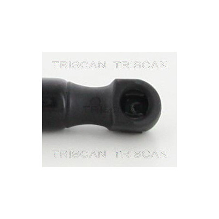 Vérin de coffre / hayon TRISCAN