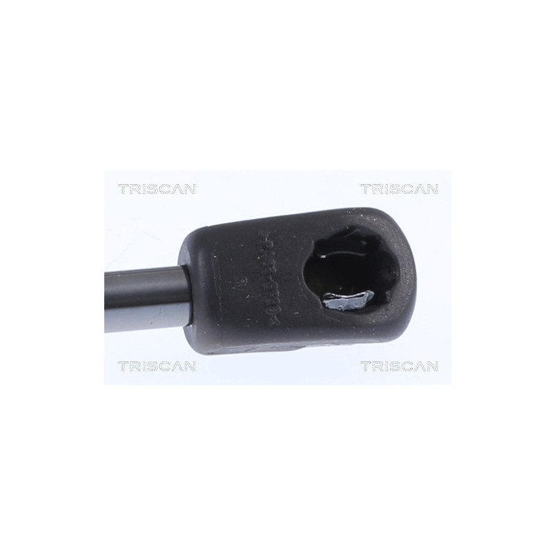 Vérin de coffre / hayon TRISCAN