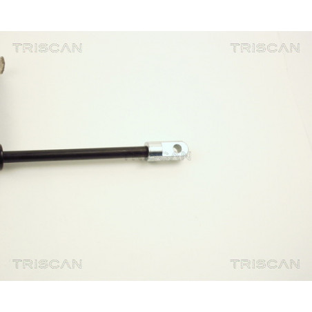 Vérin de capot TRISCAN
