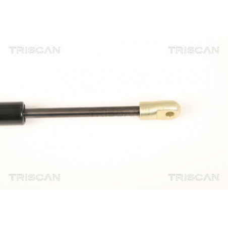 Vérin de coffre / hayon TRISCAN