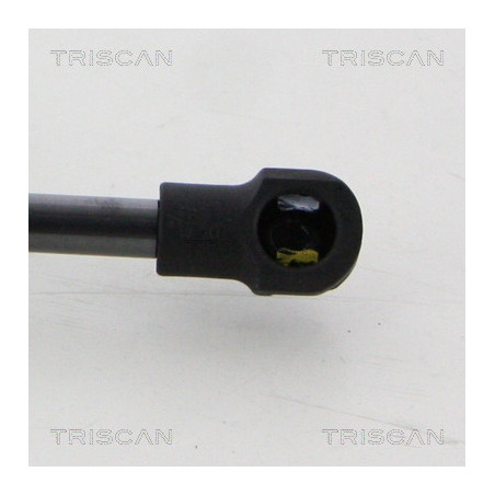 Vérin de capot TRISCAN