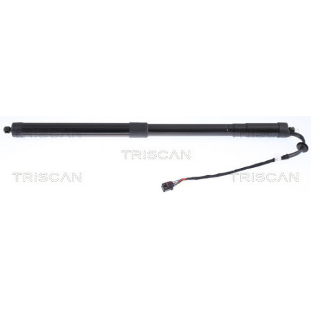 Vérin de coffre / hayon...