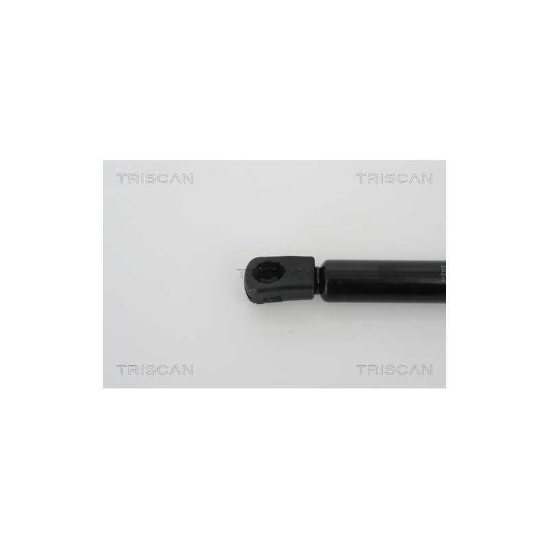 Vérin de coffre / hayon TRISCAN