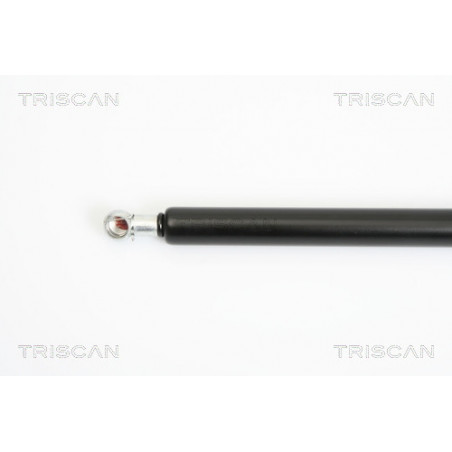 Vérin de coffre / hayon TRISCAN