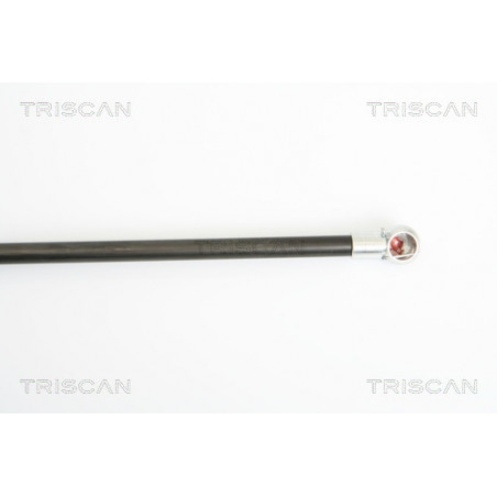 Vérin de coffre / hayon TRISCAN