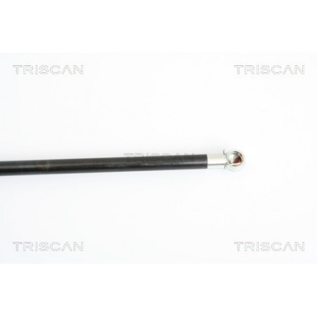 Vérin de coffre / hayon TRISCAN