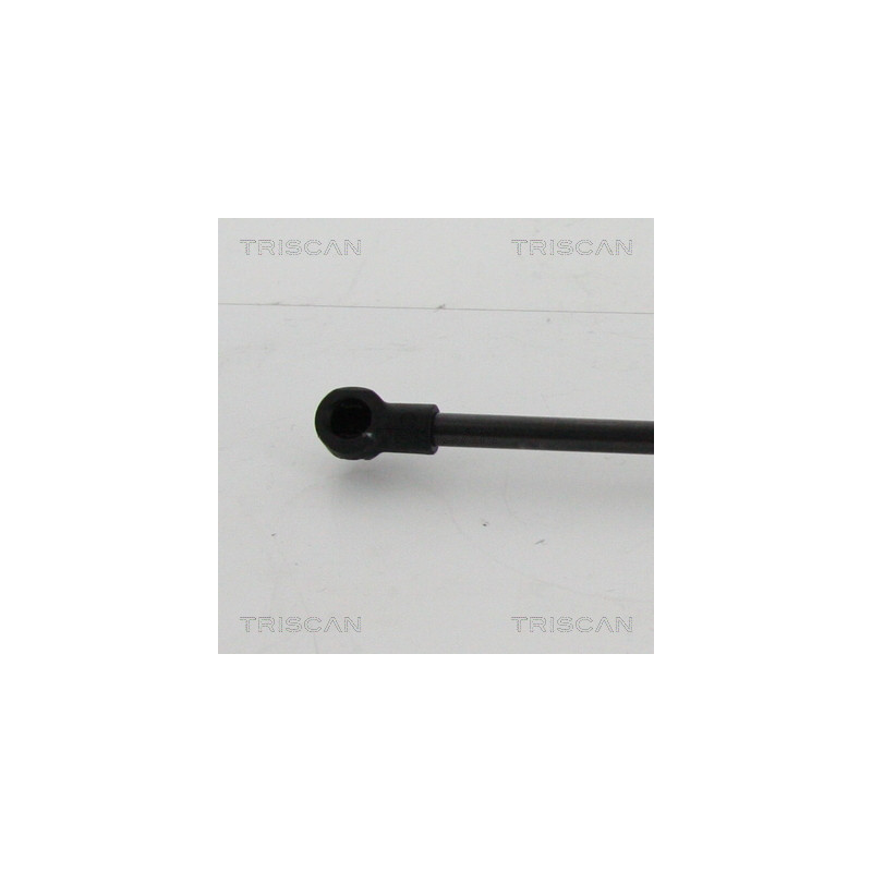 Vérin de coffre / hayon TRISCAN