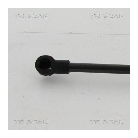 Vérin de coffre / hayon TRISCAN