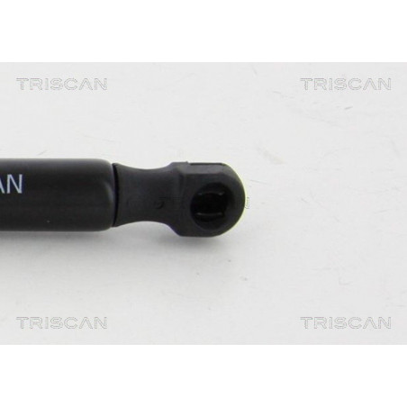 Vérin de coffre / hayon TRISCAN