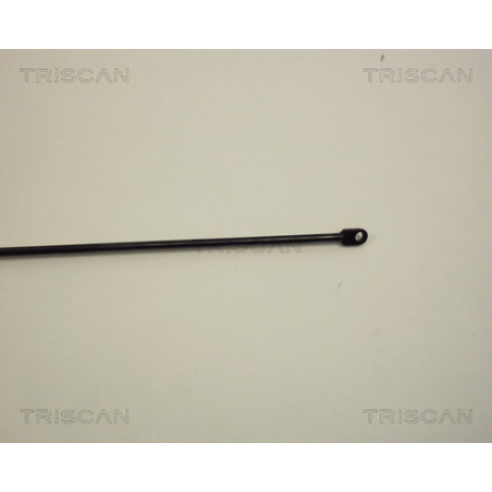 Vérin de capot TRISCAN