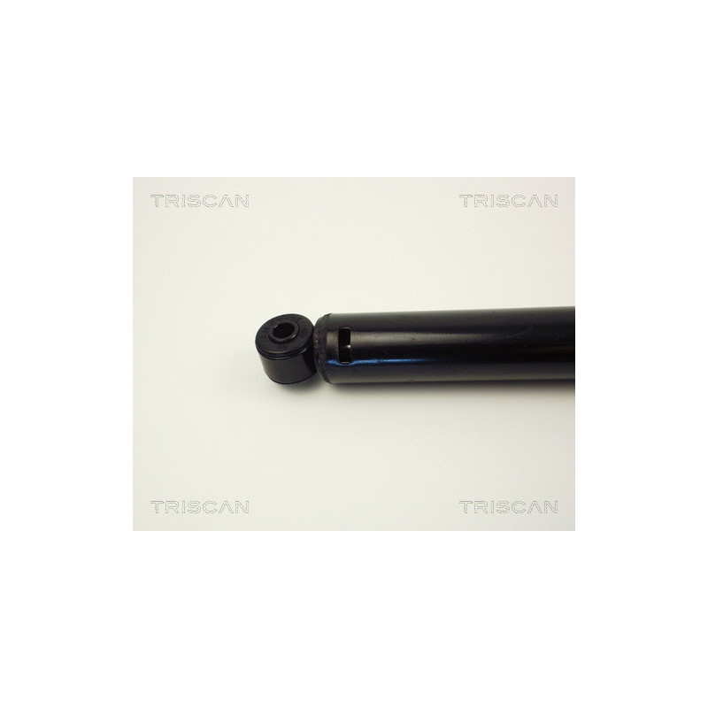 Amortisseur de direction TRISCAN