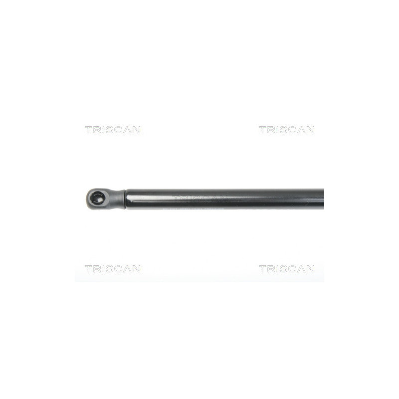 Vérin de capot TRISCAN