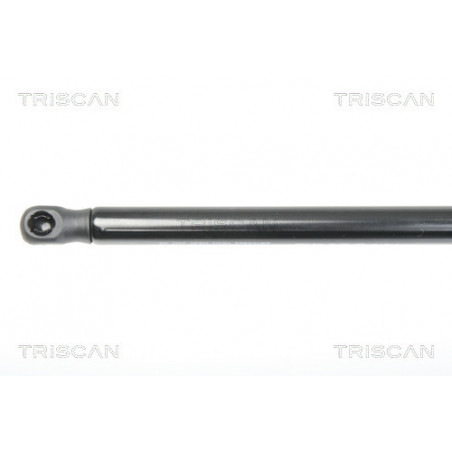 Vérin de capot TRISCAN
