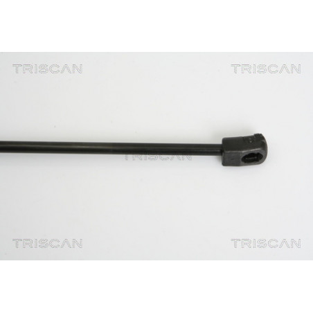 Vérin de capot TRISCAN