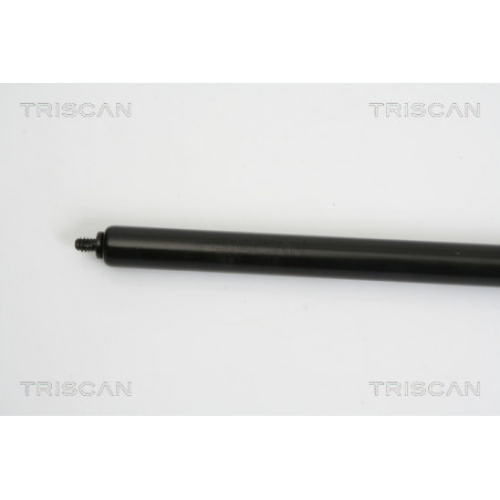 Vérin de capot TRISCAN