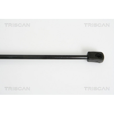 Vérin de capot TRISCAN