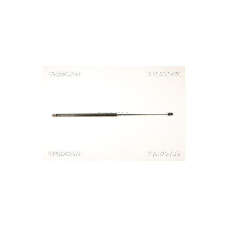 Vérin de capot TRISCAN