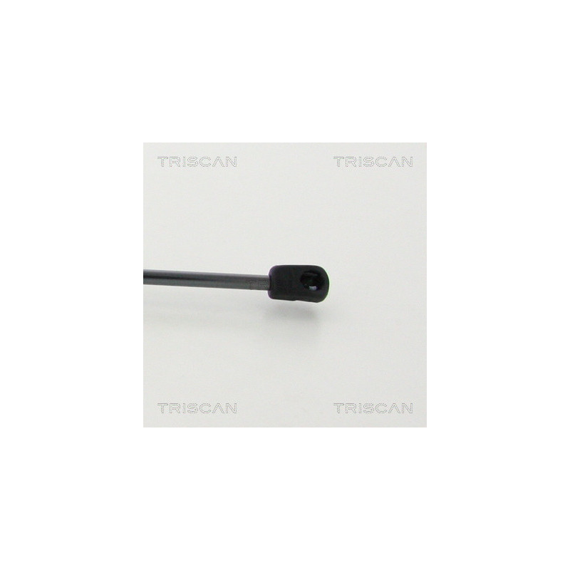 Vérin de capot TRISCAN