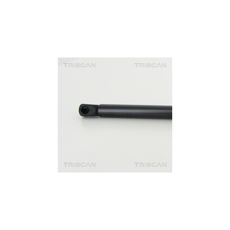 Vérin de capot TRISCAN