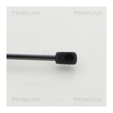 Vérin de capot TRISCAN