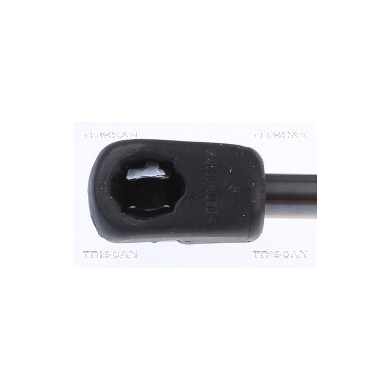 Vérin de capot TRISCAN