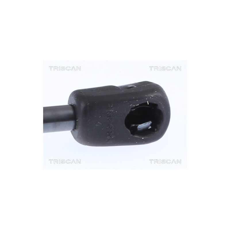 Vérin de capot TRISCAN