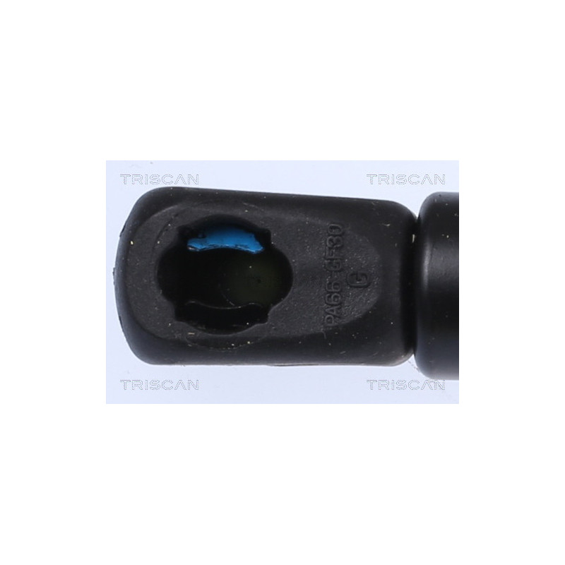 Vérin de capot TRISCAN