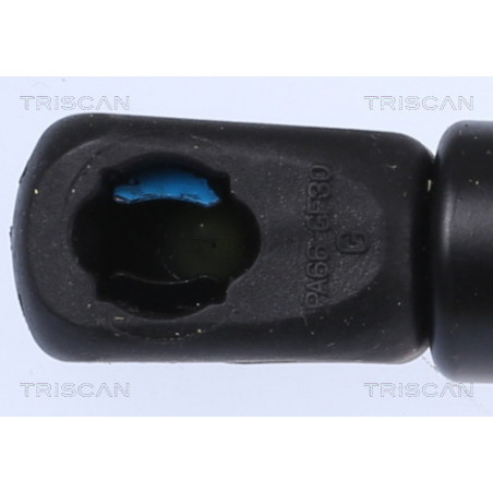 Vérin de capot TRISCAN