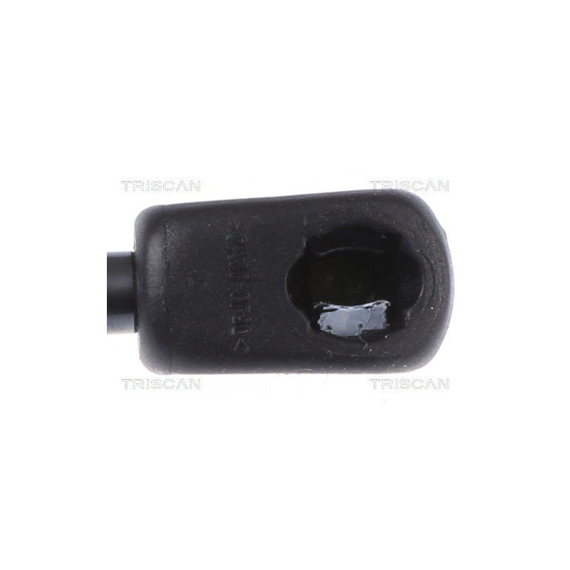 Vérin de capot TRISCAN