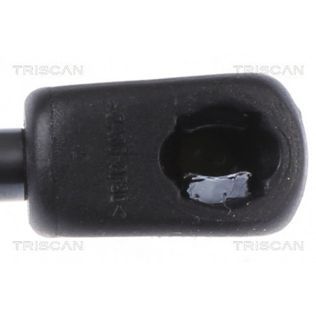 Vérin de capot TRISCAN