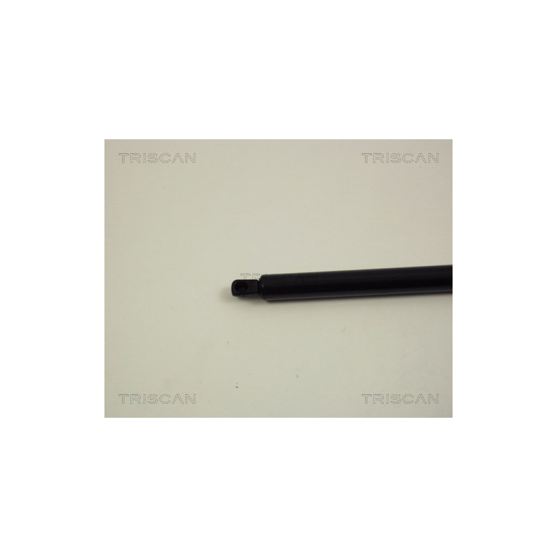 Vérin de coffre / hayon TRISCAN