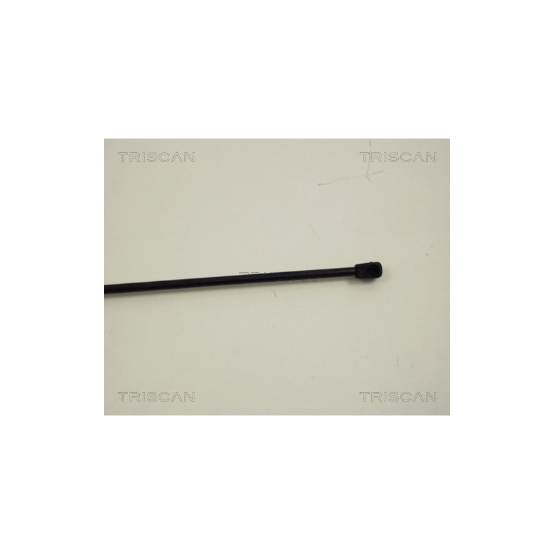 Vérin de coffre / hayon TRISCAN