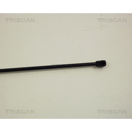 Vérin de coffre / hayon TRISCAN