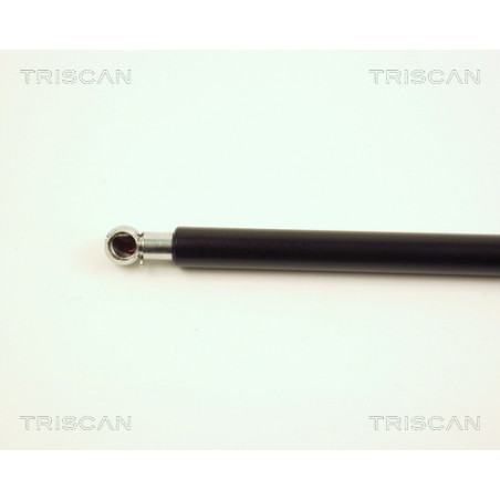 Vérin de coffre / hayon TRISCAN